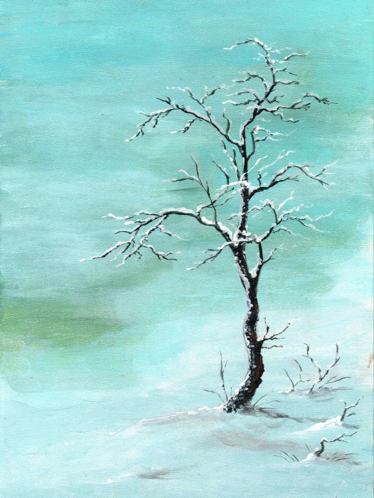 Pictura Iarna