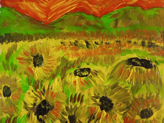 Pictura Camp De Flori 4