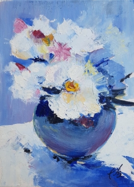 Anemone Pictura