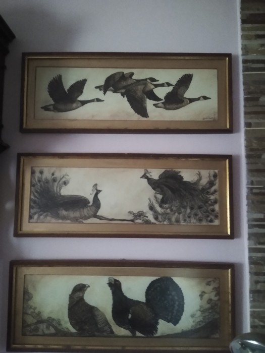 Pictura Grafică Colorata Păsări