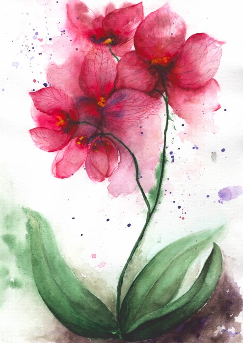 Pictura Orhidee In Floare