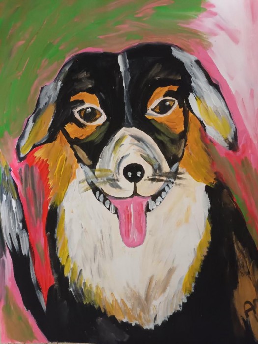 Pictura Cute Dog
