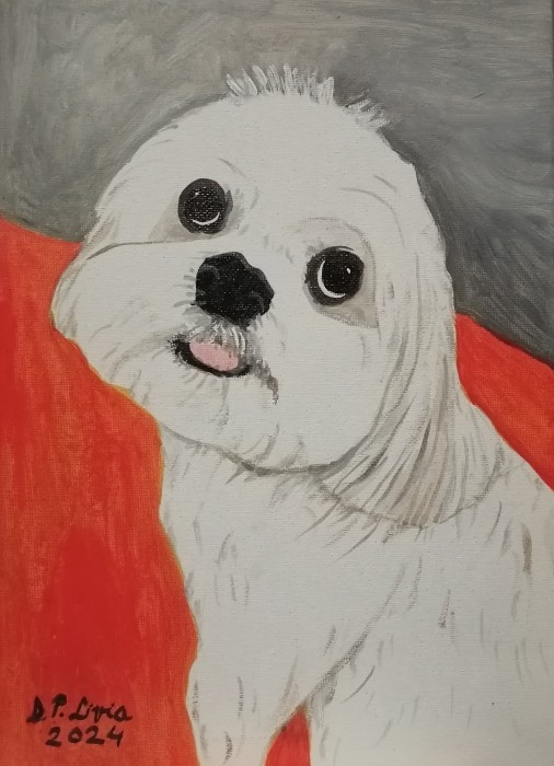 Pictura Catelusa Foxi