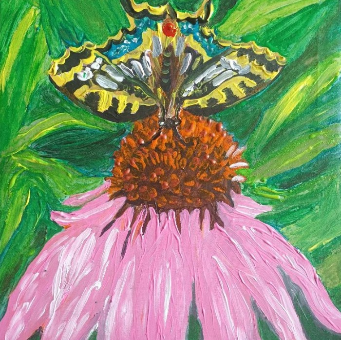 Pictura Culorile Naturii