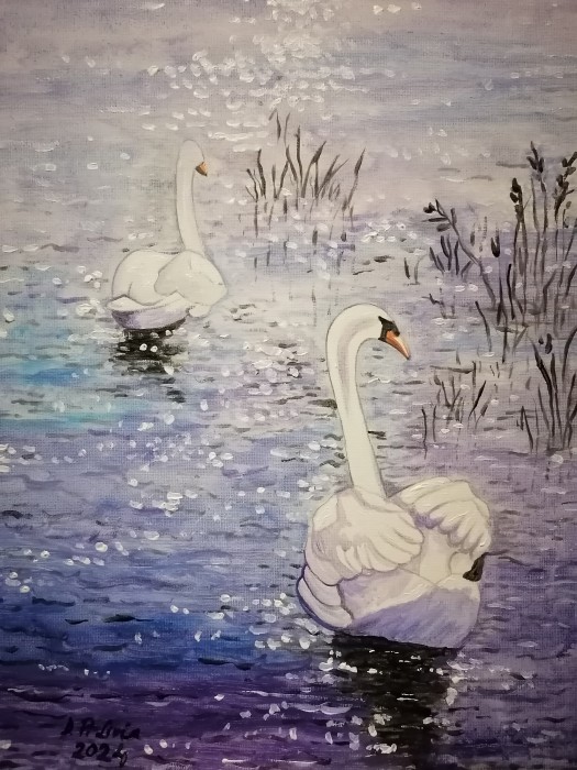 Pictura Lebede Pe Lac Pictura Lebede Pe Lac