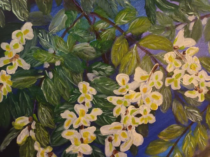 Pictura Flori De Salcam