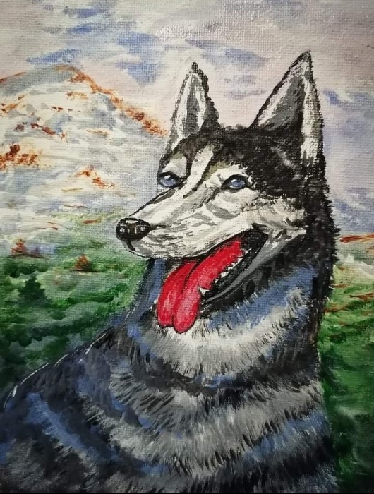 Pictura Husky
