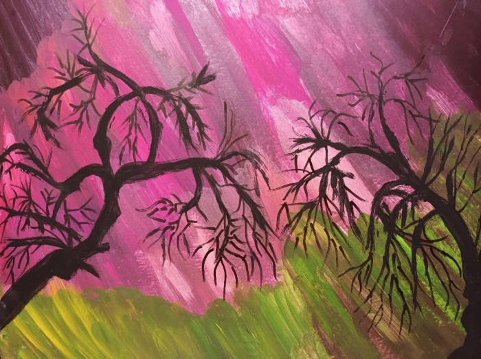 Pictura Aurora Boreala