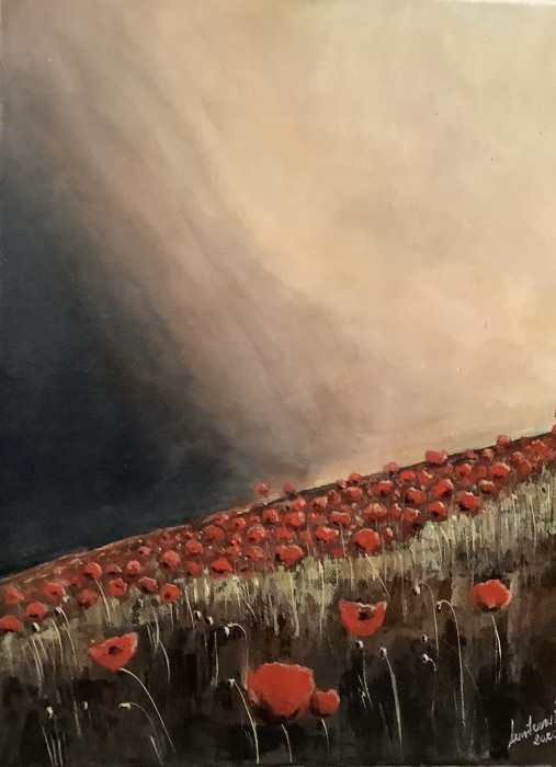 Pictura Camp Cu Maci In Apus