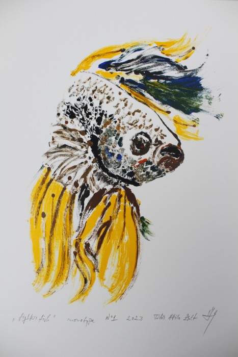 Pictura Fighter Fish