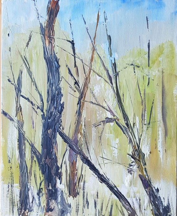 Pictura Iarna-N Lastaris