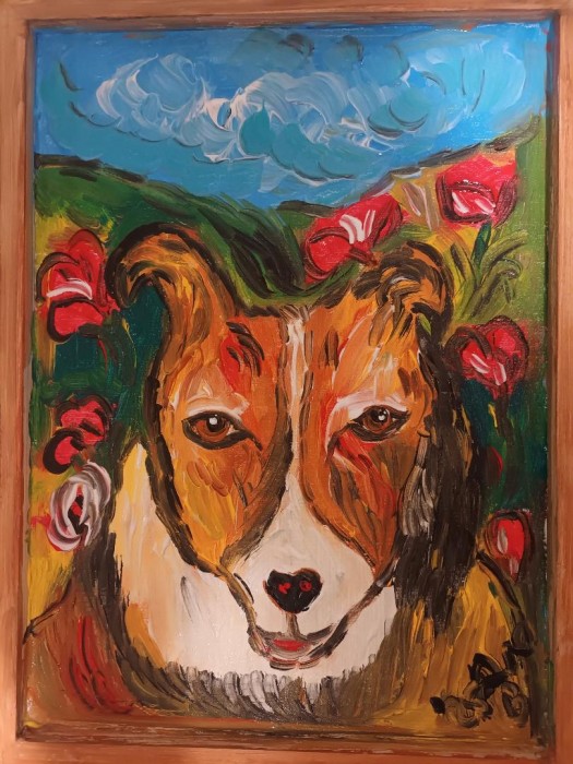 Pictura Collie