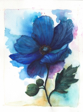 Anemona Albastra Pictura