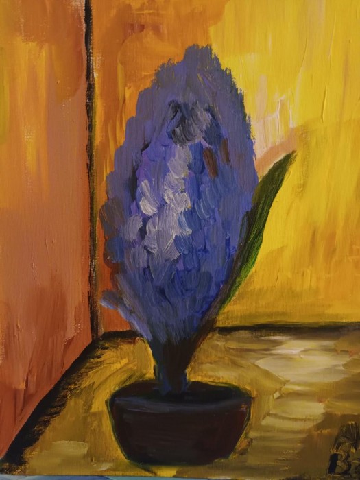 Pictura Zambila 2