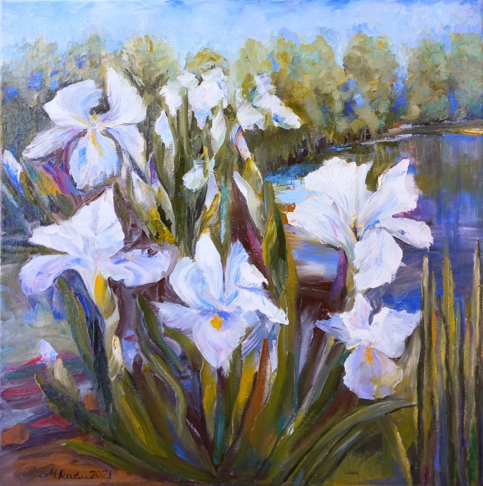 Pictura Iriși