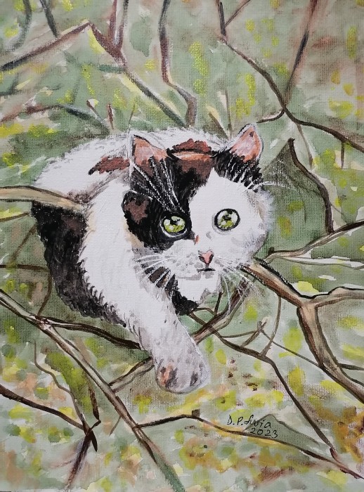 Pictura Vis De Pisica