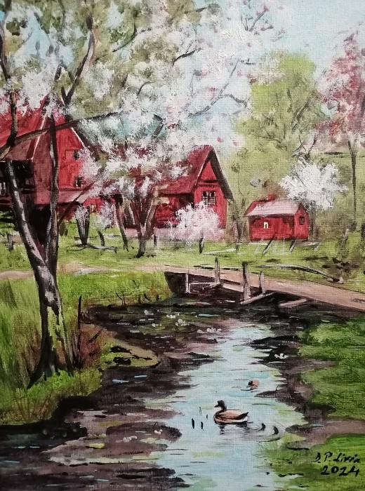 Pictura Ratusca De Pe Lac