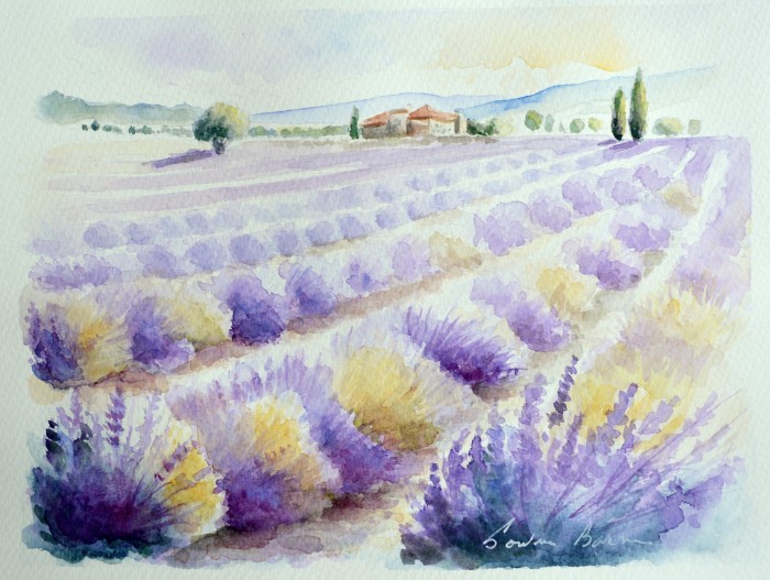 Pictura Lanul De Lavanda