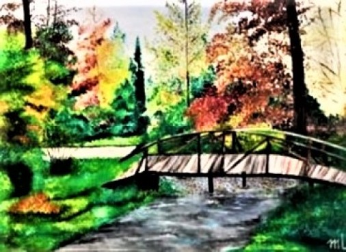 Pictura Toamna In Parcul Dendrologic Simeria