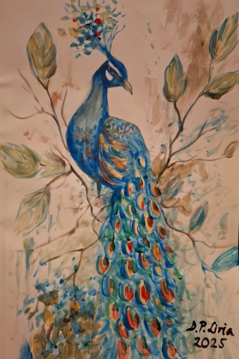 Pictura Paunul In Natura