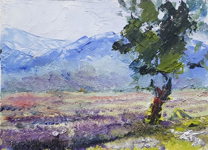 Pictura Singur ...Pe Camp.