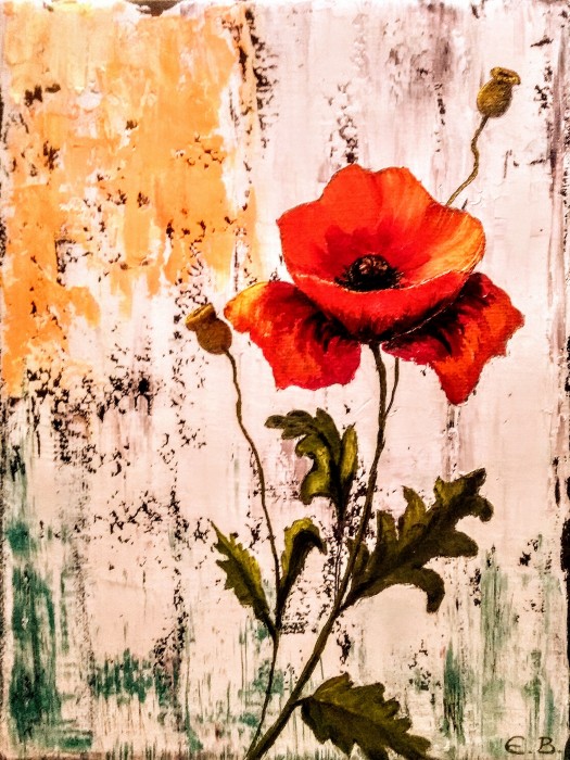 Pictura Armonii Abstracte (1)