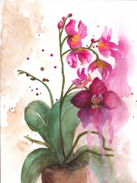Orhidee Pictura