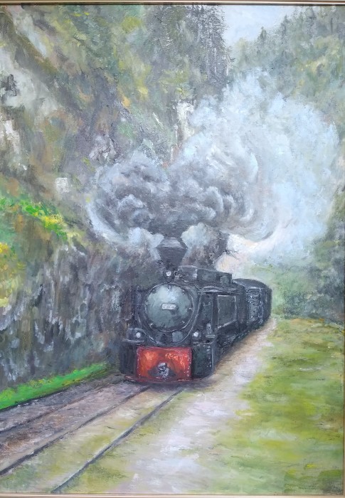 Pictura Trenul Vietii