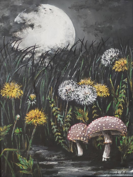 Pictura Poveste De Seară