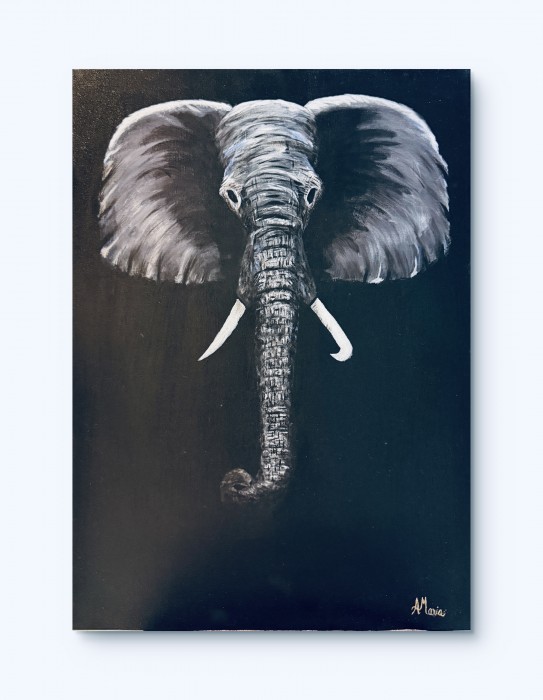 Pictura The Silence In The Shadows