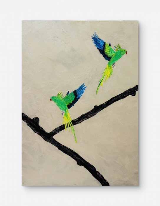 Pictura Pogo In The Mirror