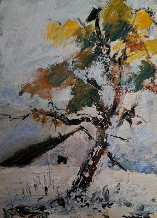 Pictura Zăpadă Timpurie