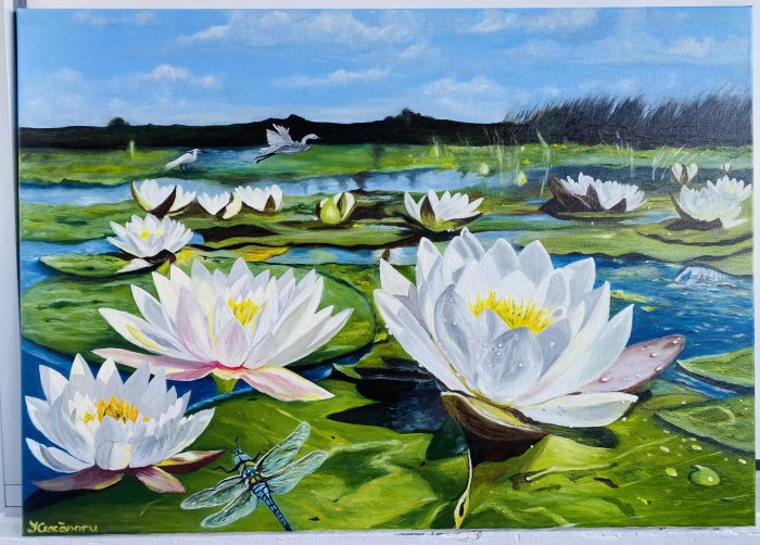 Pictura Lac Cu Nuferi