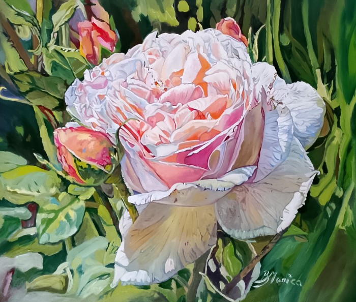 Pictura Trandafirul Din Grădină