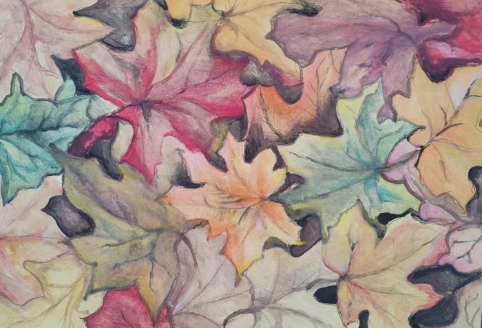 Pictura Frunze De Toamna