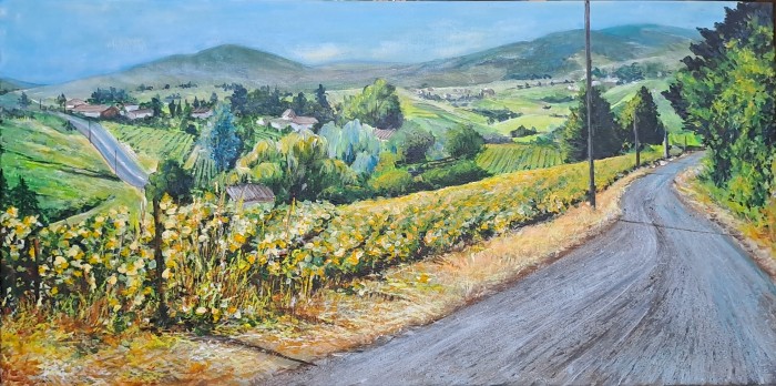 Pictura La Intrarea In Sat