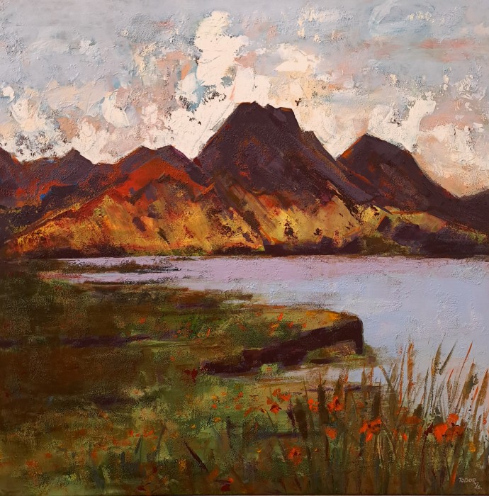 Pictura Apus De Soare