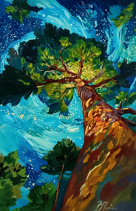 Pictura O Noapte Înstelată