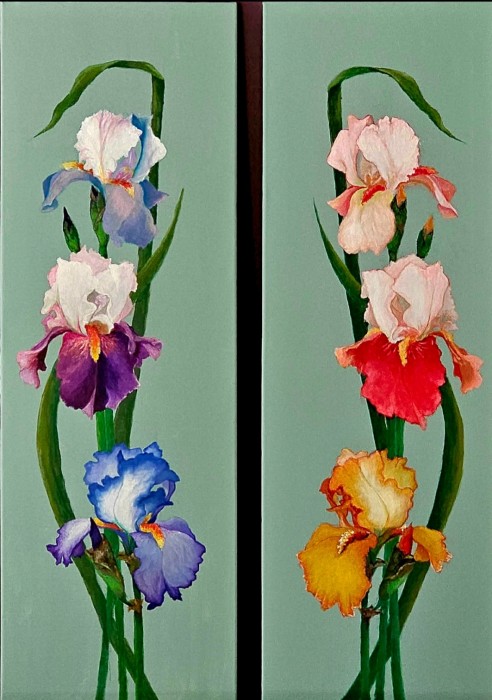 Pictura Irisi