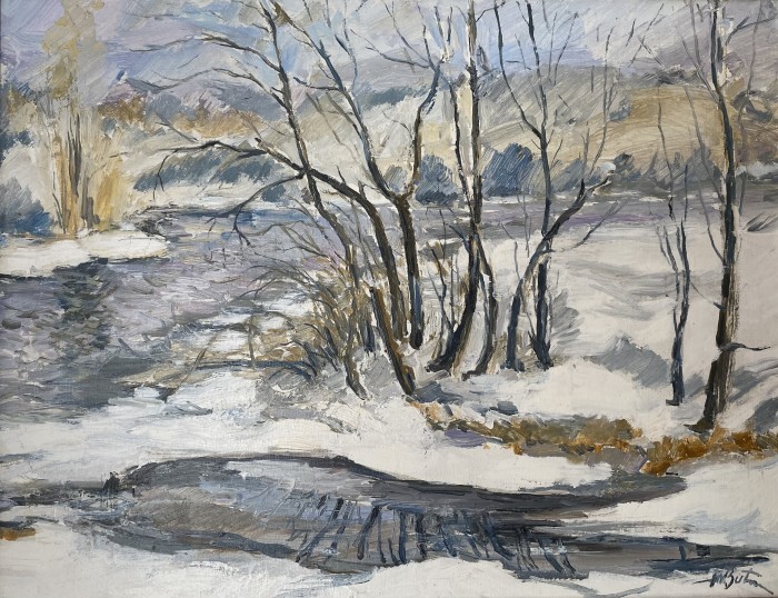 Pictura Plină Iarnă