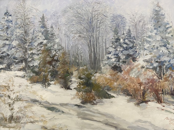 Pictura Parc În Ceață