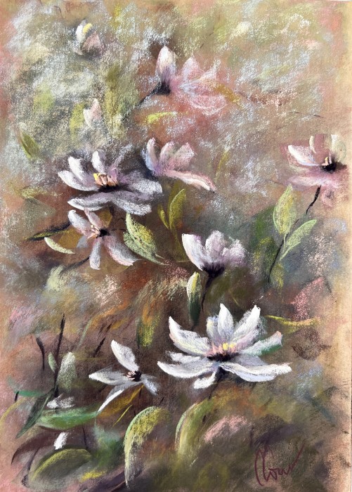 Pictura Spring Vibe 1