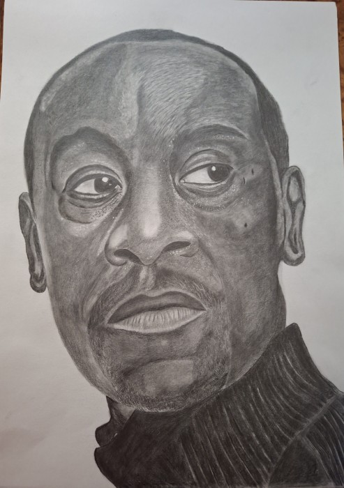 Pictura Don Cheadle Portret
