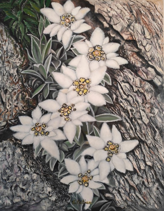 Pictura Floare De Colț