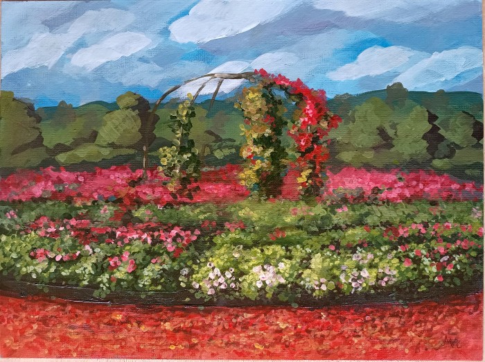 Pictura Parcul Soceram