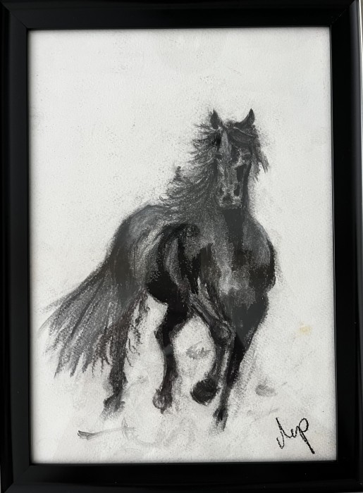 Pictura Galop