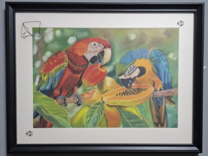 Pictura Dialog Tropical