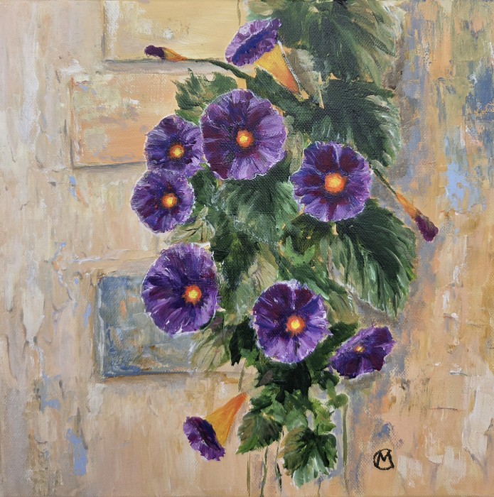 Pictura Zorele