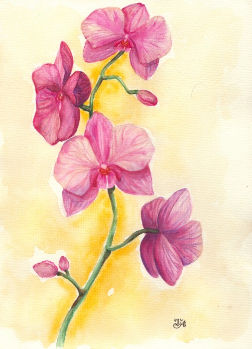 Pictura Orhidee Roz