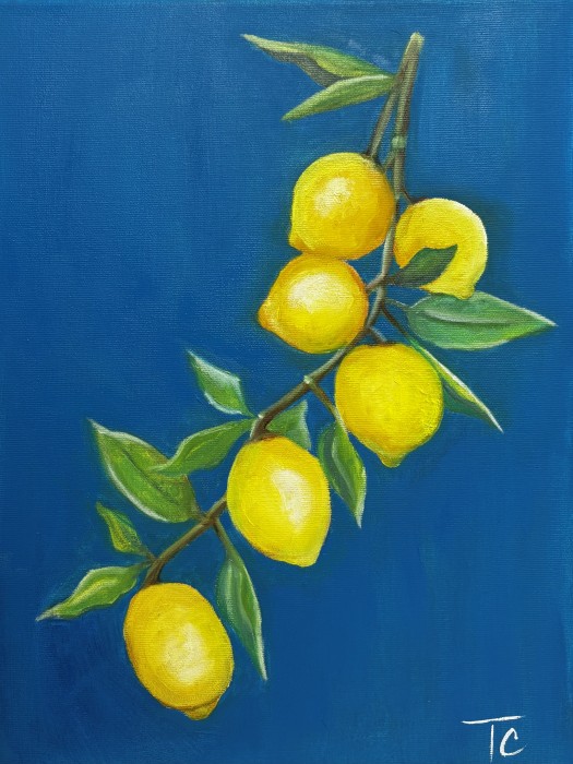 Pictura Capri
